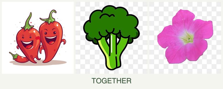 Can you plant peppers, broccoli and petunias together?
