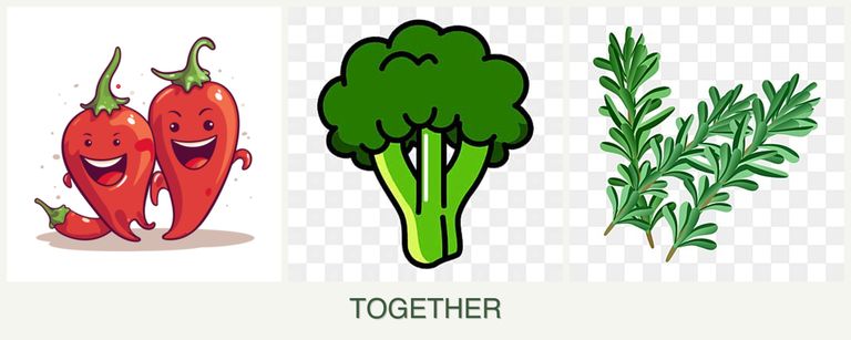 Can you plant peppers, broccoli and rosemary together?