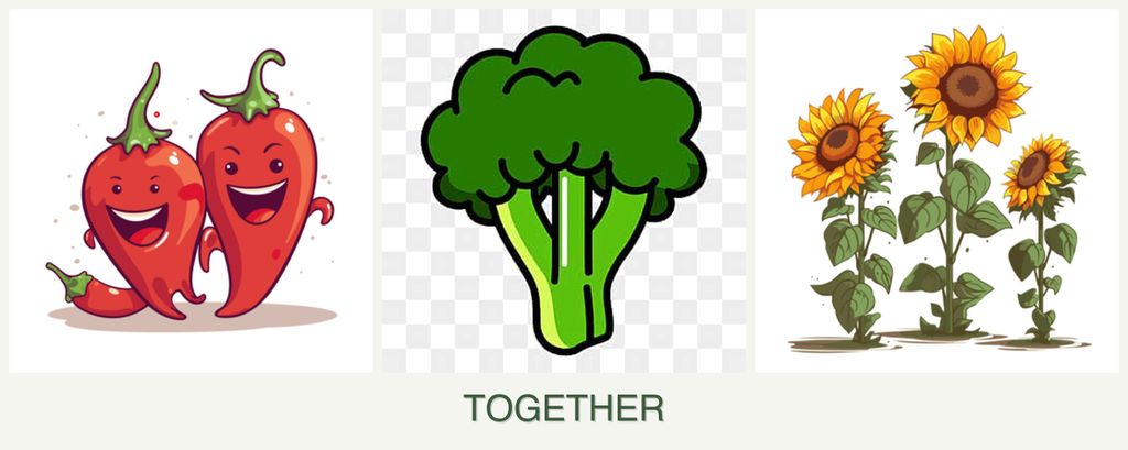 Can you plant peppers, broccoli and sunflowers together?