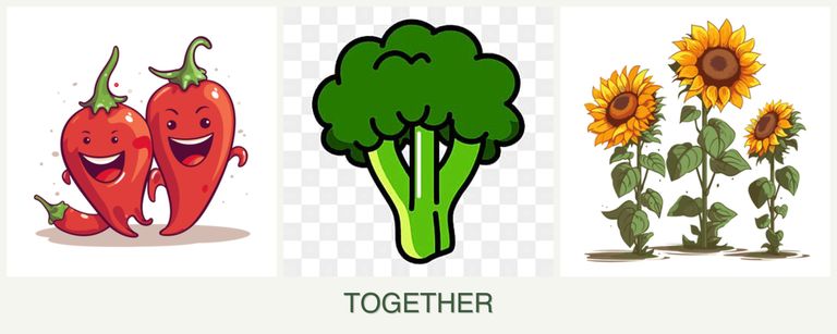Can you plant peppers, broccoli and sunflowers together?