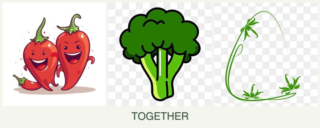 Can you plant peppers, broccoli and tarragon together?