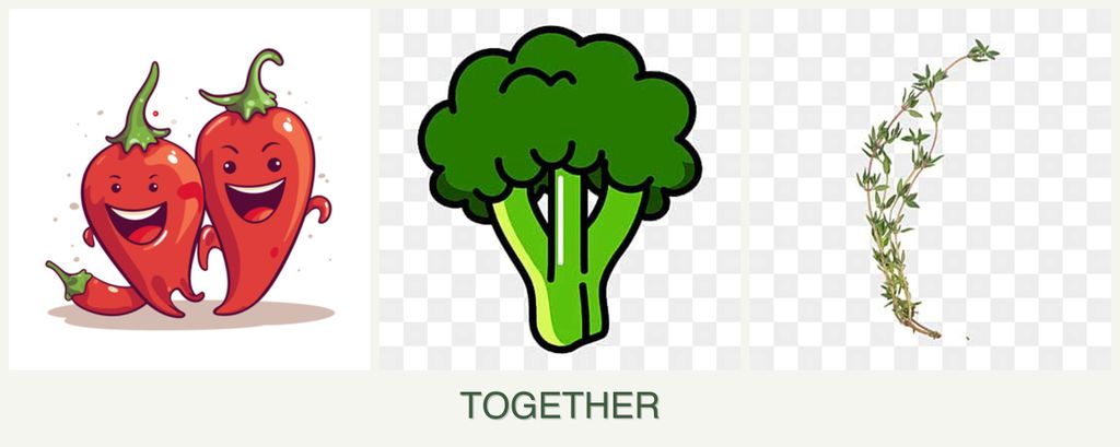 Can you plant peppers, broccoli and thyme together?