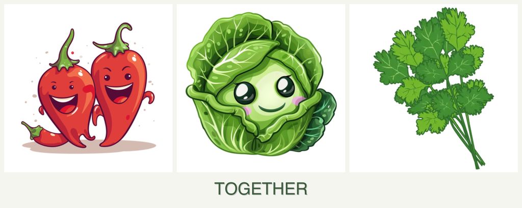 Can you plant peppers, cabbage and cilantro together?