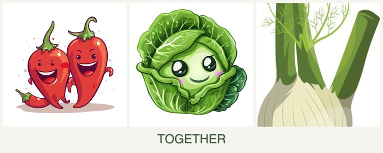 Can you plant peppers, cabbage and fennel together?