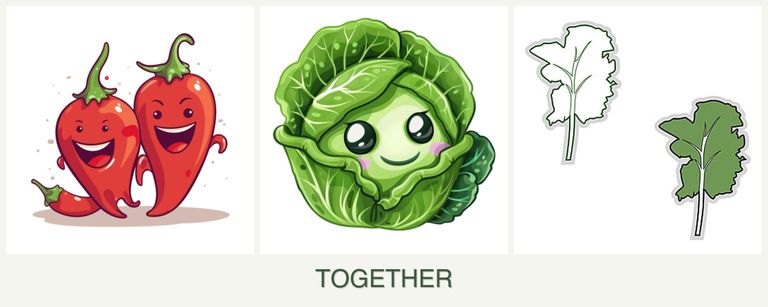Can you plant peppers, cabbage and kale together?