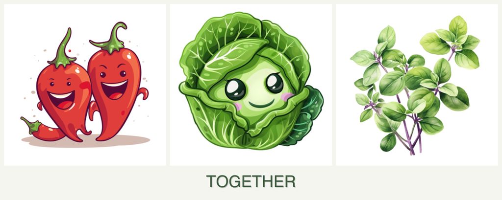 Can you plant peppers, cabbage and oregano together?
