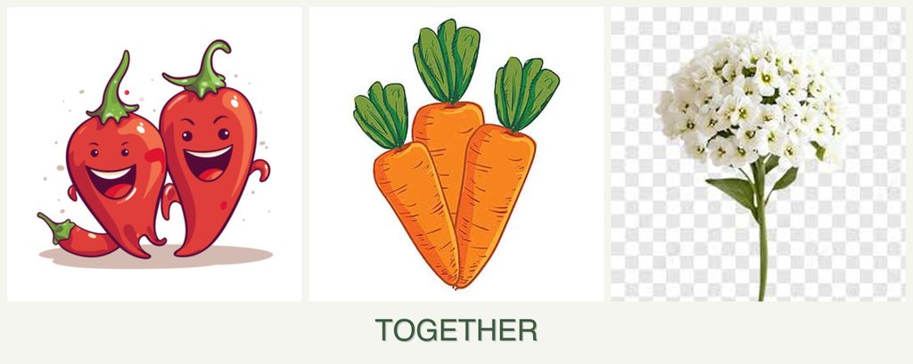 Can you plant peppers, carrots and alyssum together?