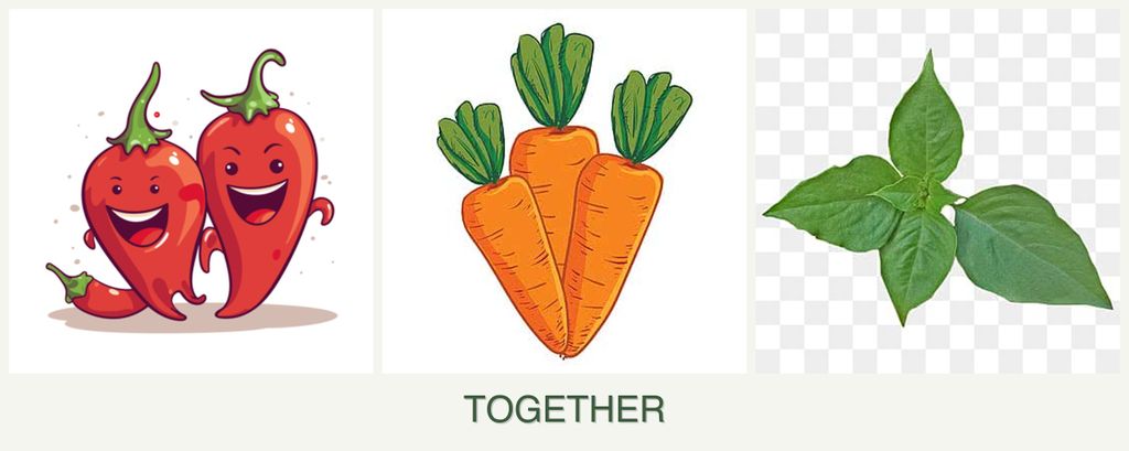 Can you plant peppers, carrots and basil together?