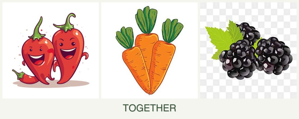 Can you plant peppers, carrots and blackberries together?