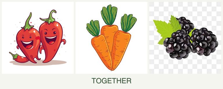 Can you plant peppers, carrots and blackberries together?
