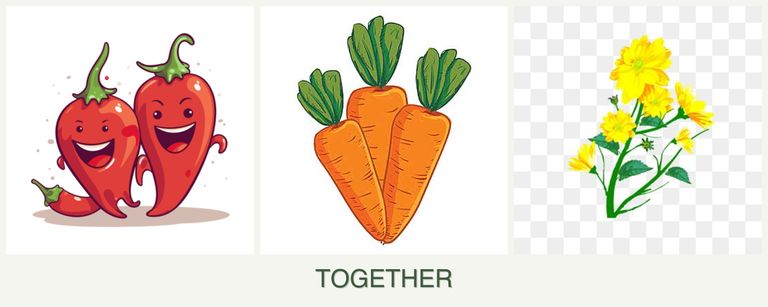 Can you plant peppers, carrots and calendula together?