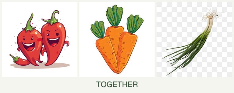 Can you plant peppers, carrots and chives together?