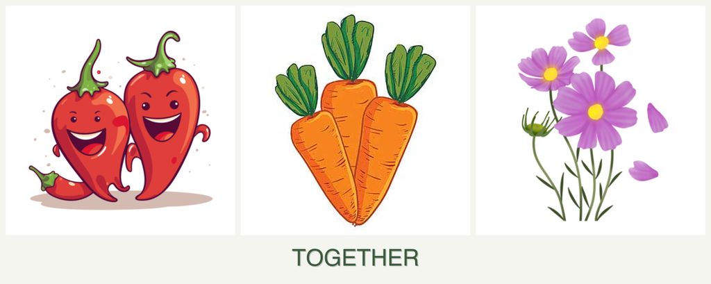 Can you plant peppers, carrots and cosmos together?
