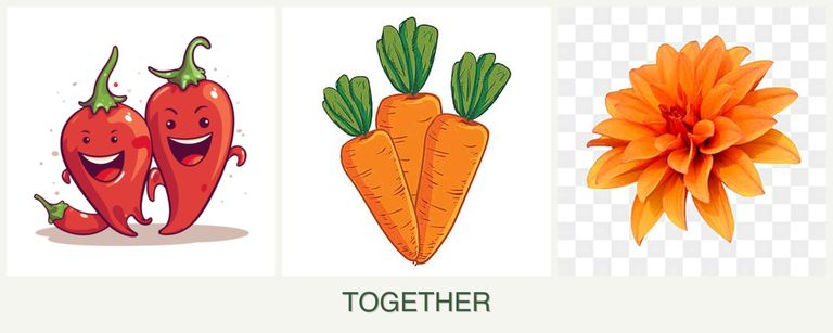 Can you plant peppers, carrots and dahlias together?