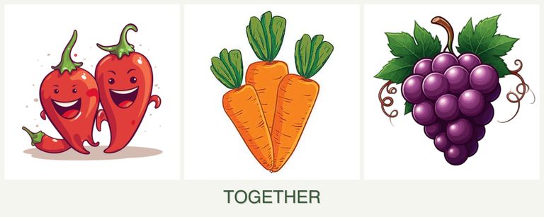 Can you plant peppers, carrots and grapes together?