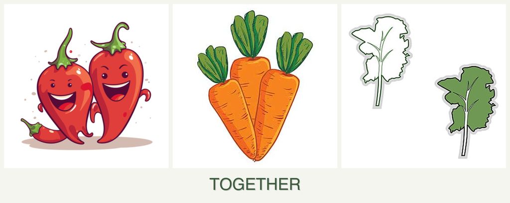 Can you plant peppers, carrots and kale together?