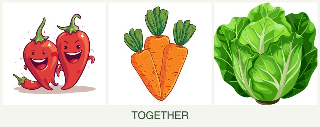 Can you plant peppers, carrots and lettuce together?