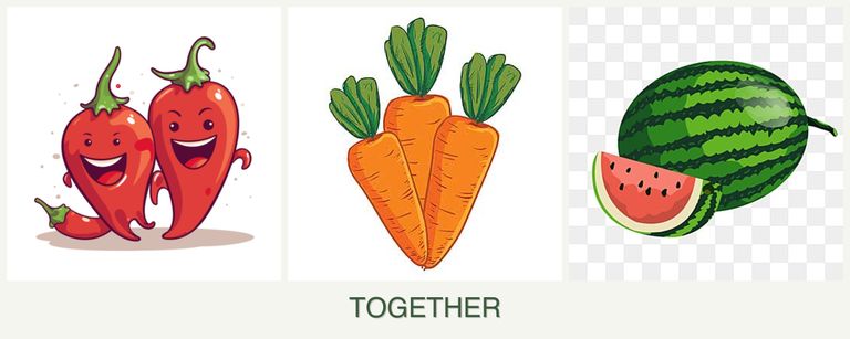 Can you plant peppers, carrots and melons together?
