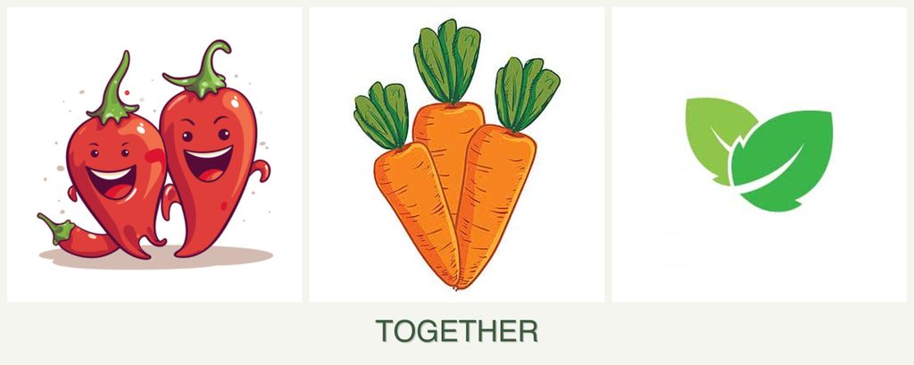 Can you plant peppers, carrots and mint together?
