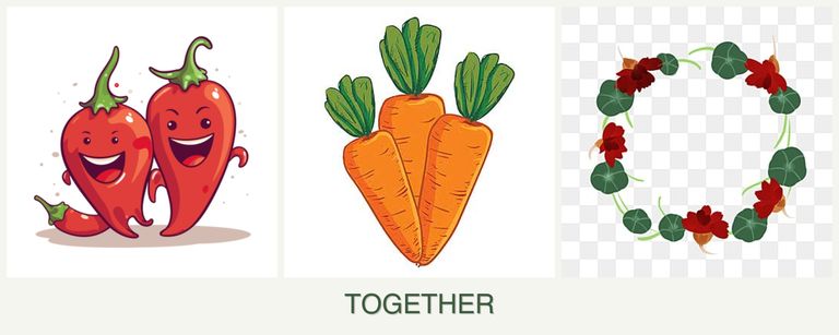 Can you plant peppers, carrots and nasturtiums together?