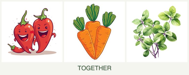 Can you plant peppers, carrots and oregano together?