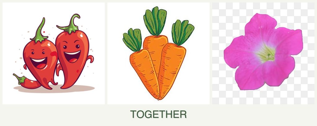 Can you plant peppers, carrots and petunias together?
