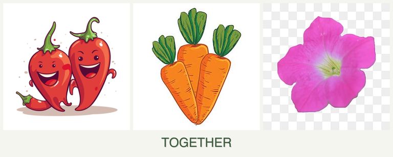Can you plant peppers, carrots and petunias together?