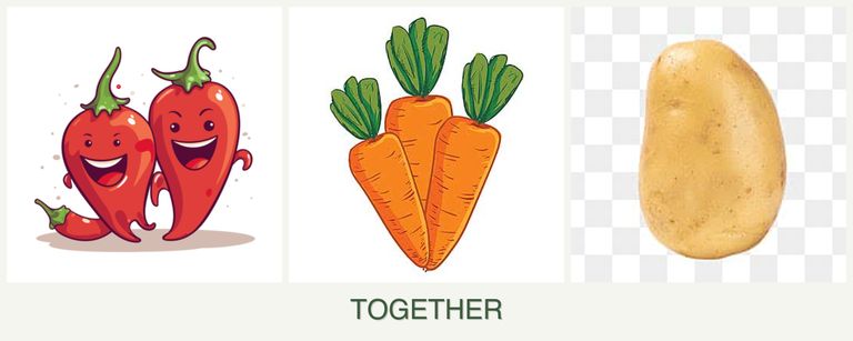 Can you plant peppers, carrots and potatoes together?