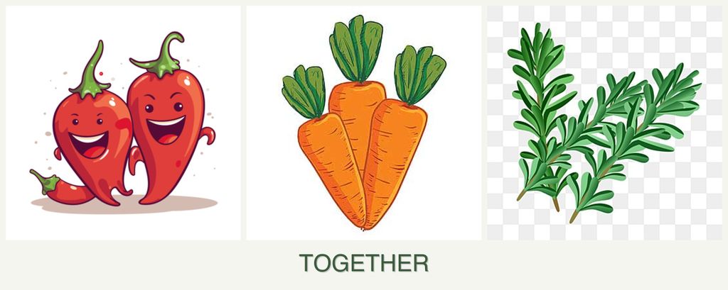 Can you plant peppers, carrots and rosemary together?