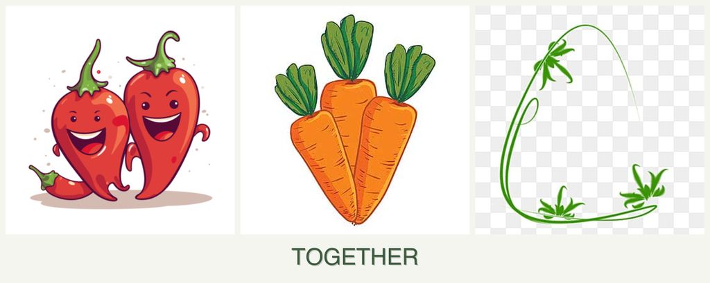Can you plant peppers, carrots and tarragon together?