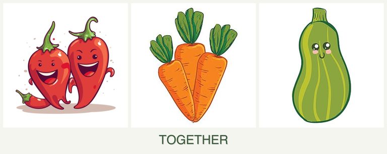 Can you plant peppers, carrots and zucchini together?