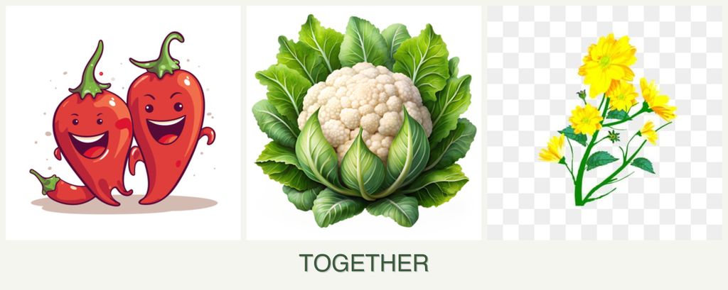 Can you plant peppers, cauliflower and calendula together?