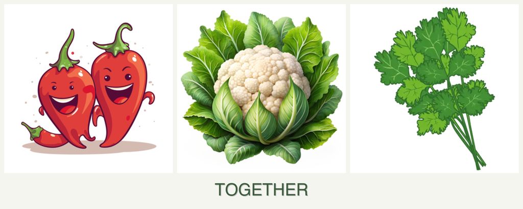 Can you plant peppers, cauliflower and cilantro together?