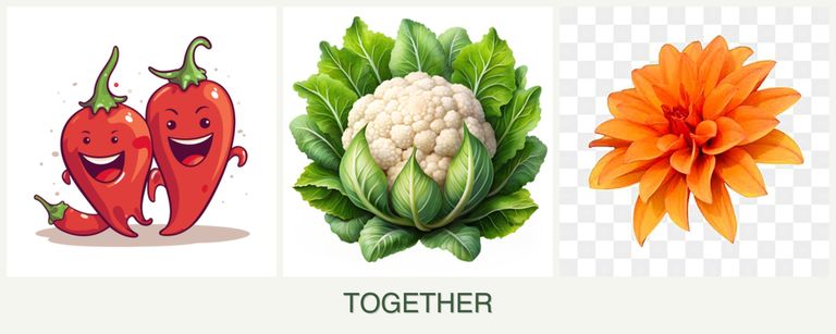 Can you plant peppers, cauliflower and dahlias together?