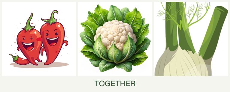 Can you plant peppers, cauliflower and fennel together?