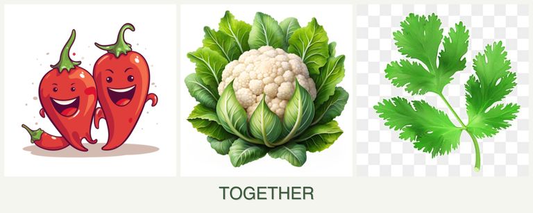 Can you plant peppers, cauliflower and parsley together?