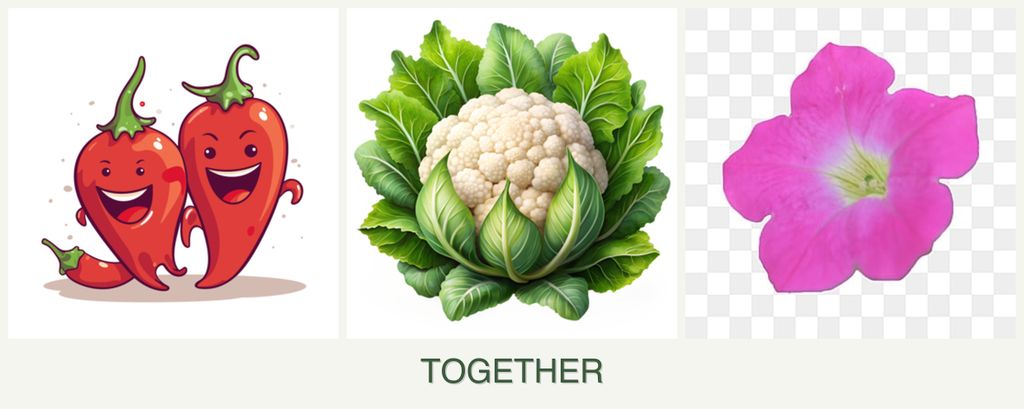 Can you plant peppers, cauliflower and petunias together?