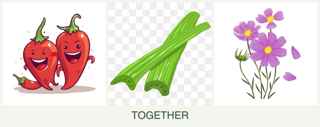 Can you plant peppers, celery and cosmos together?