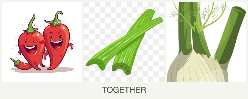 Can you plant peppers, celery and fennel together?