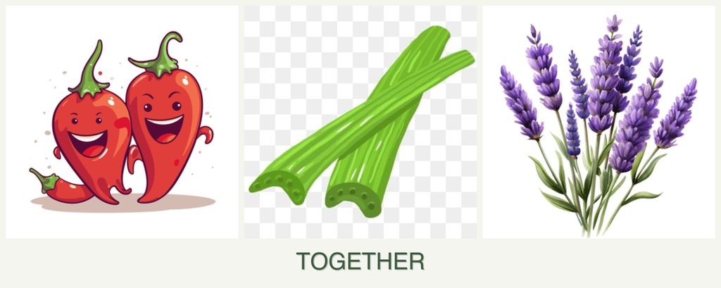 Can you plant peppers, celery and lavender together?