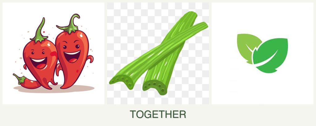 Can you plant peppers, celery and mint together?