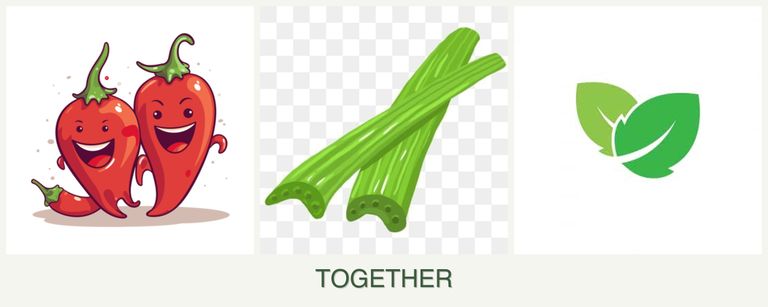 Can you plant peppers, celery and mint together?