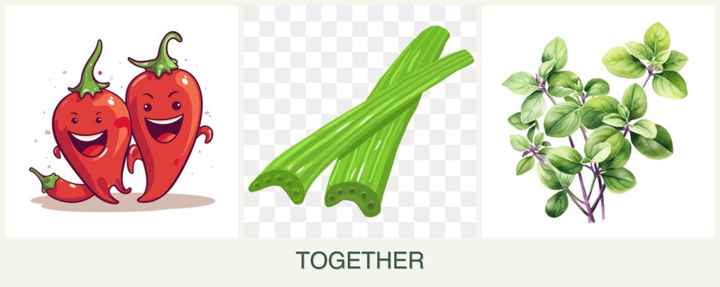 Can you plant peppers, celery and oregano together?