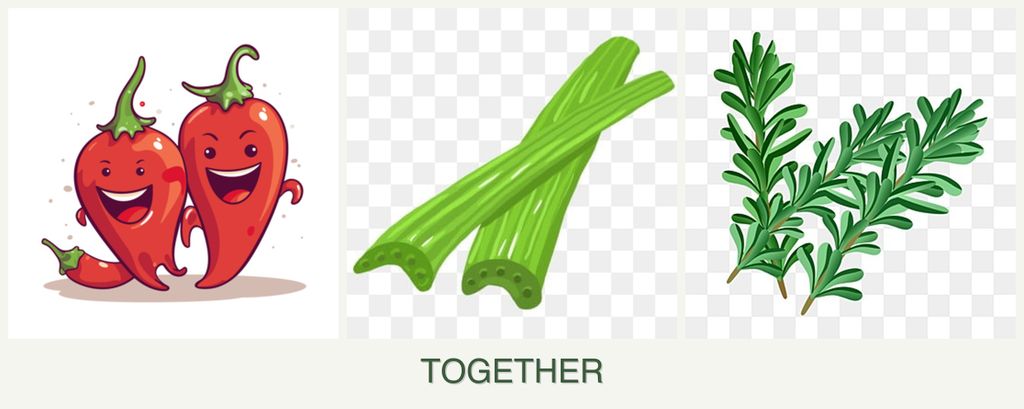 Can you plant peppers, celery and rosemary together?