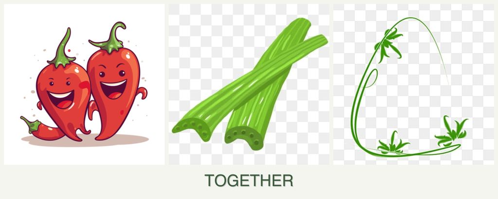 Can you plant peppers, celery and tarragon together?