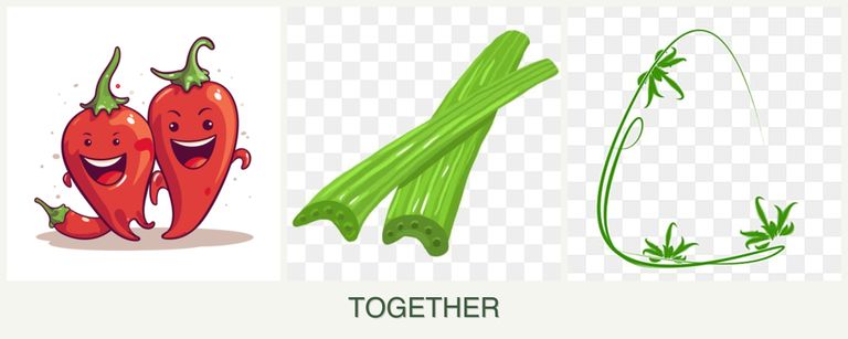 Can you plant peppers, celery and tarragon together?