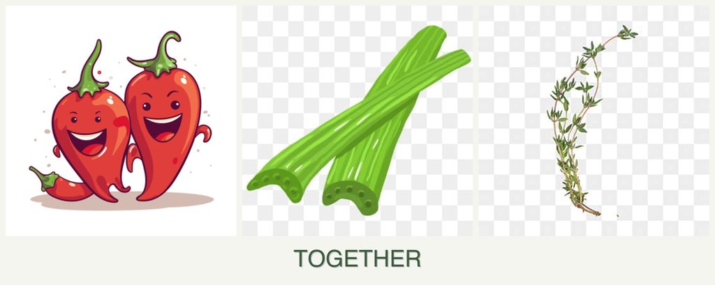 Can you plant peppers, celery and thyme together?