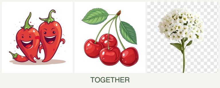 Can you plant peppers, cherries and alyssum together?
