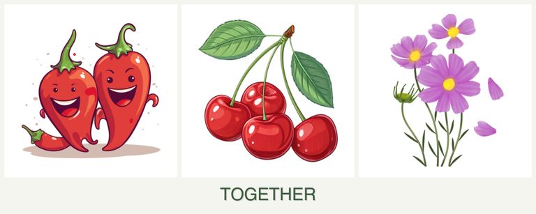 Can you plant peppers, cherries and cosmos together?