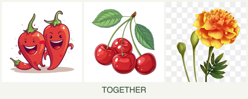 Can you plant peppers, cherries and marigolds together?